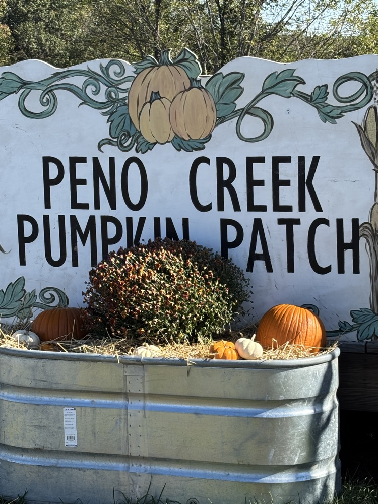Pumpkin