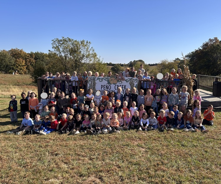Pumpkin Patch