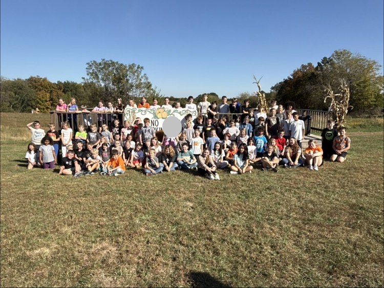 Pumpkin Patch