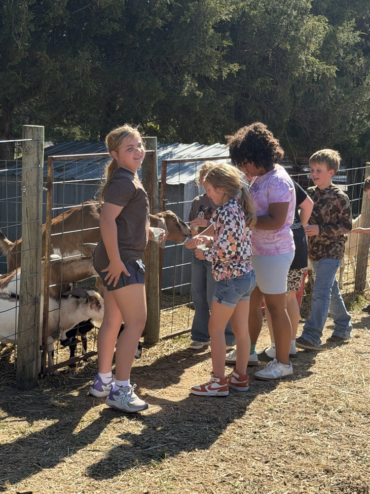 Pumpkin Patch