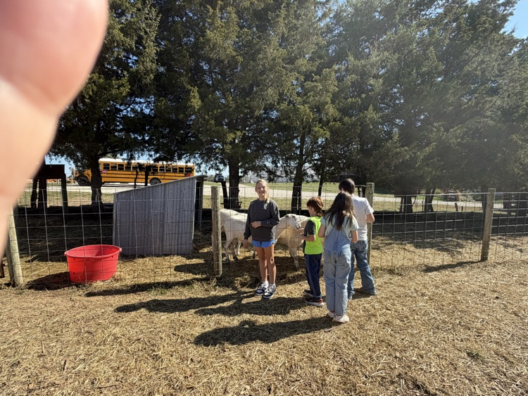 Pumpkin Patch
