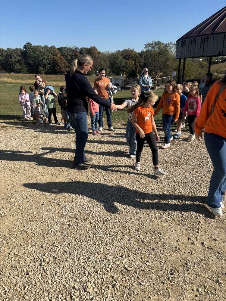 Pumpkin Patch