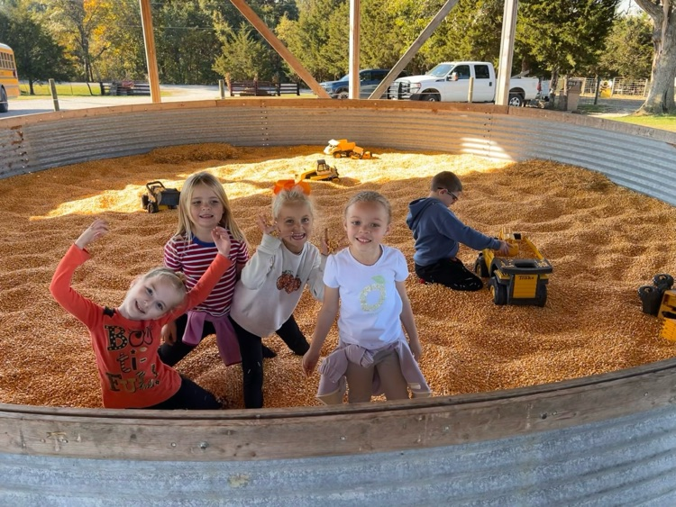 Pumpkin Patch
