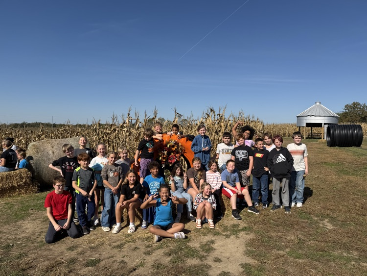 Pumpkin Patch