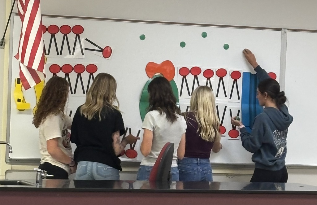More students working at the board