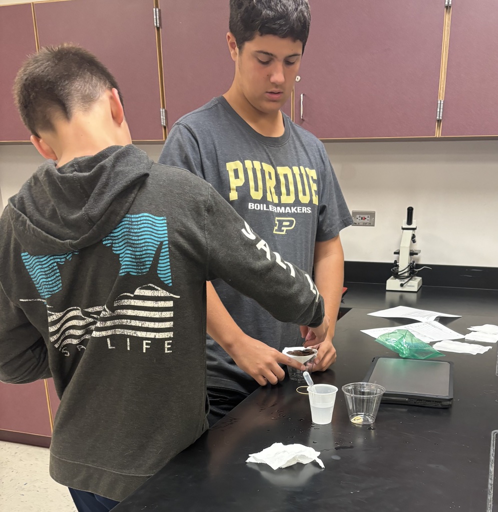 Students working