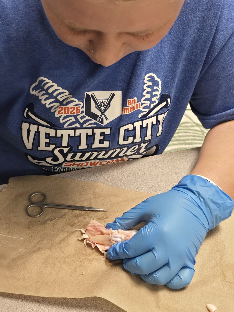 Student cutting chicken foot