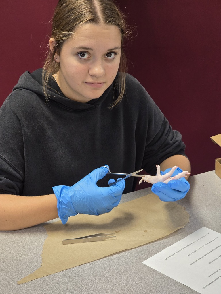 Student cutting chicken foot