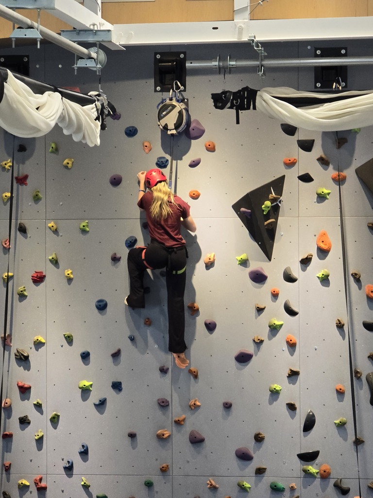 Climbing wall