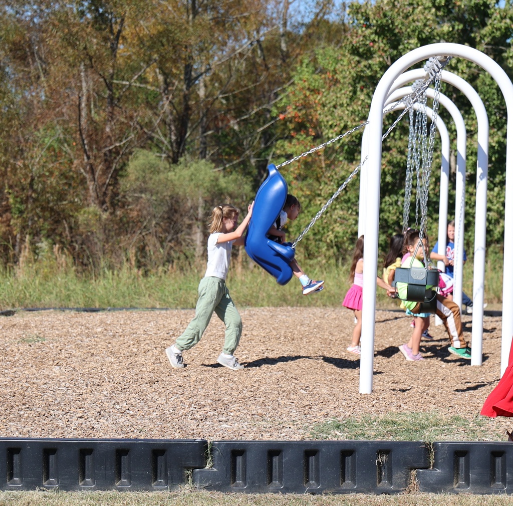 Friends using the new inclusive swing