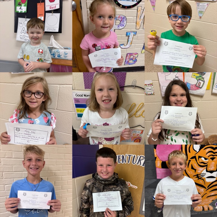tigers