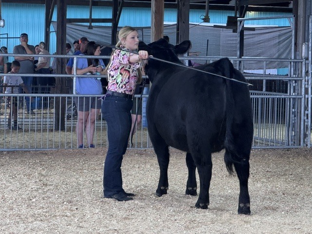 Kinlei Ruffel showing her heifer