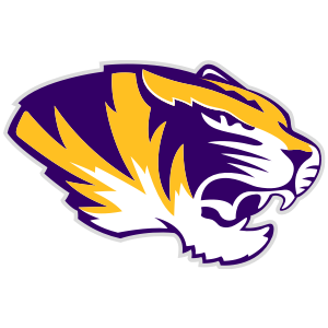 Tiger Head