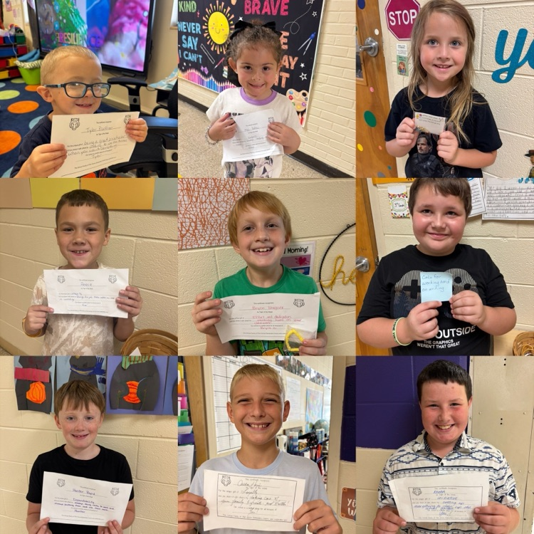 tigers 