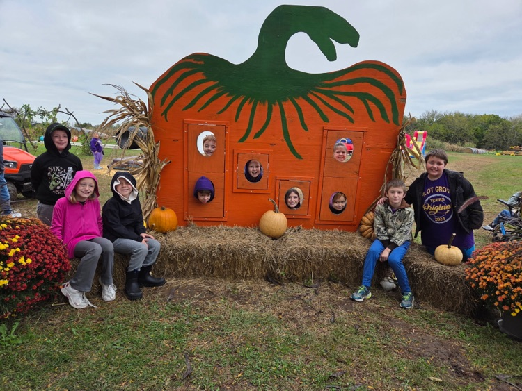 pumpkins 