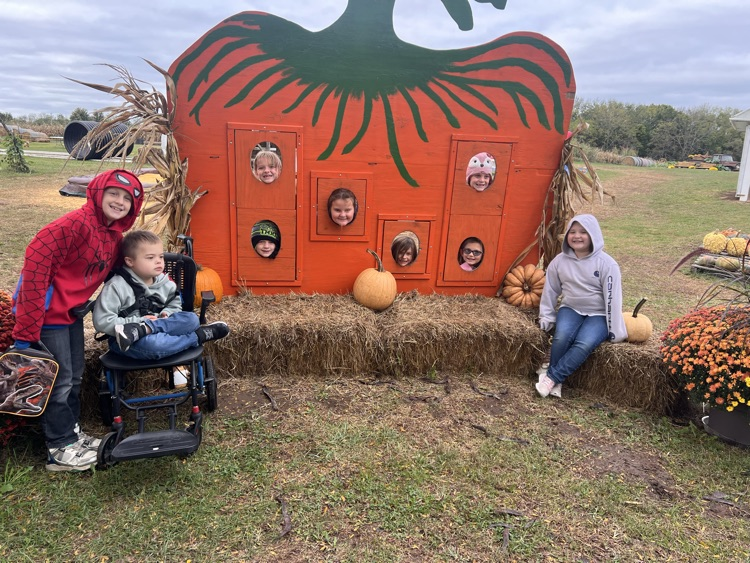 pumpkins 