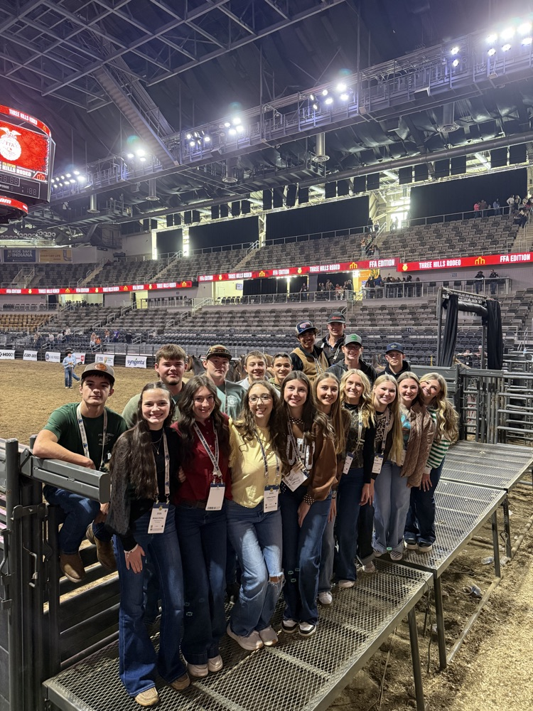 rodeo