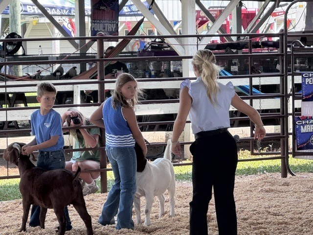 Goats
