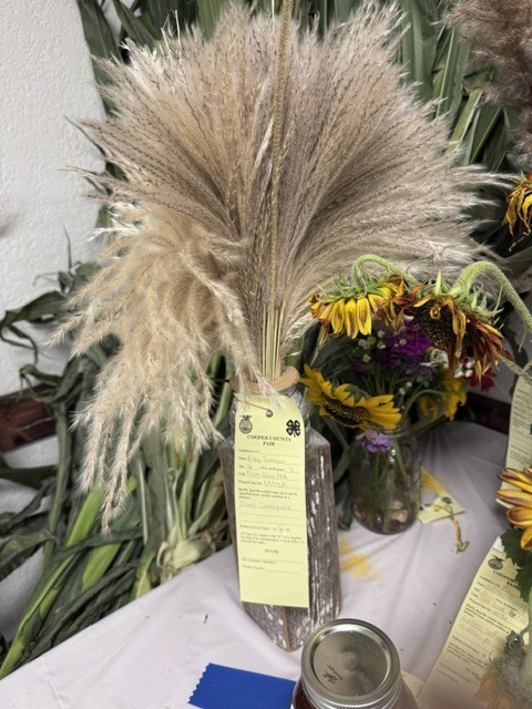 display