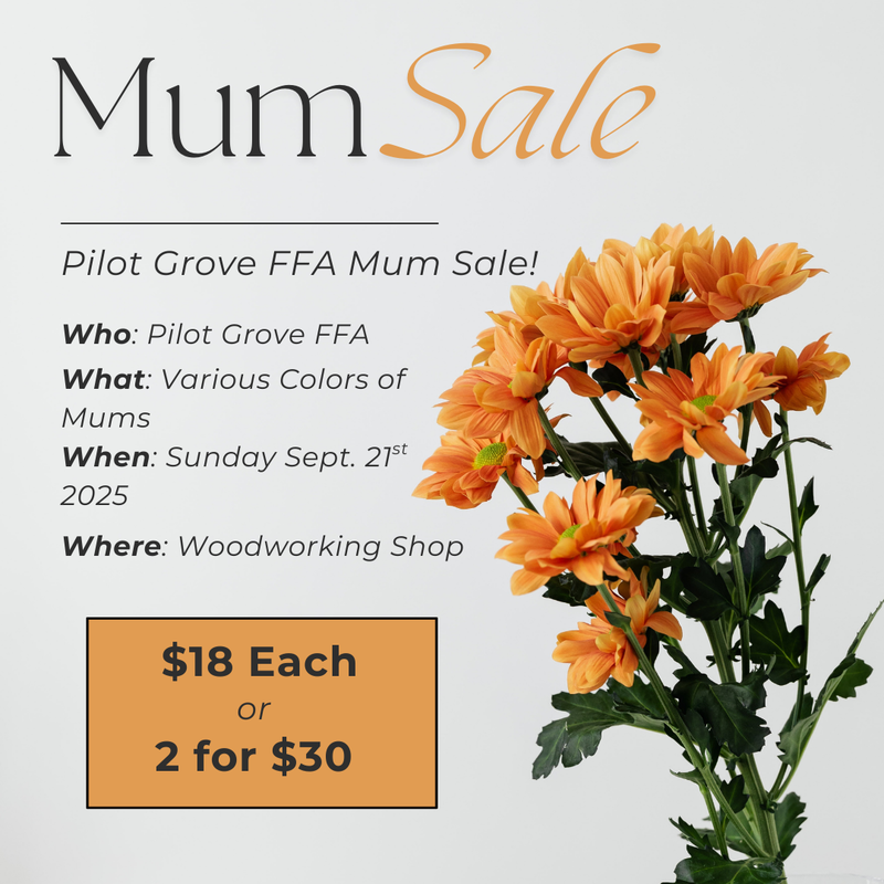 FFA Mums