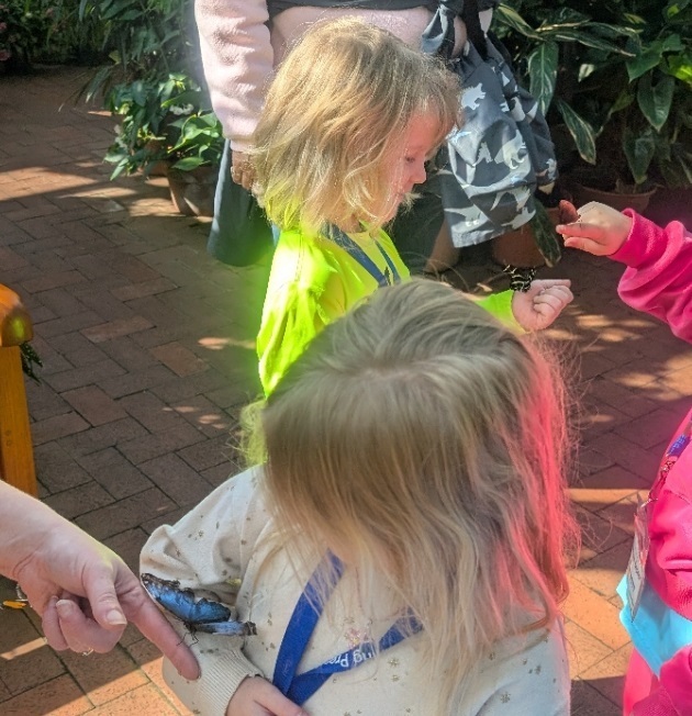 Children Playing With Butterflies