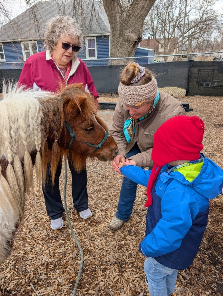 Boy Feeding a Pony