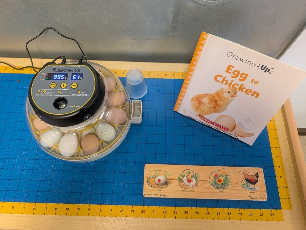 Special Visitor Brings Hands-On Learning to the Classroom