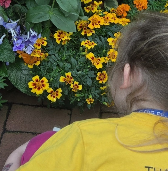 Girl Looking at a butterfly