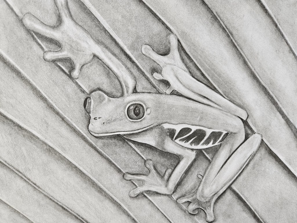 HS Artwork 1