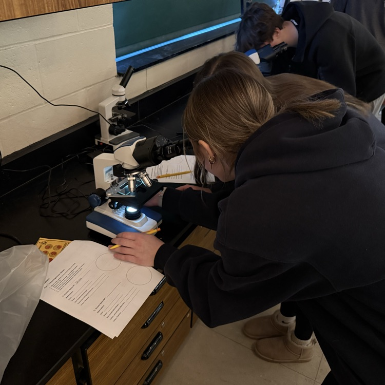 student using microscope