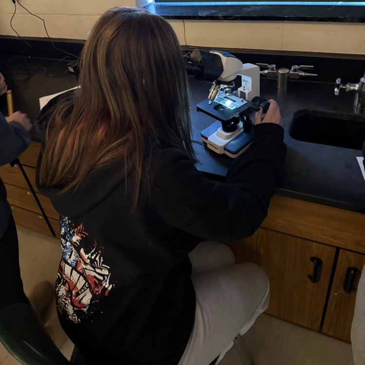 student using microscope