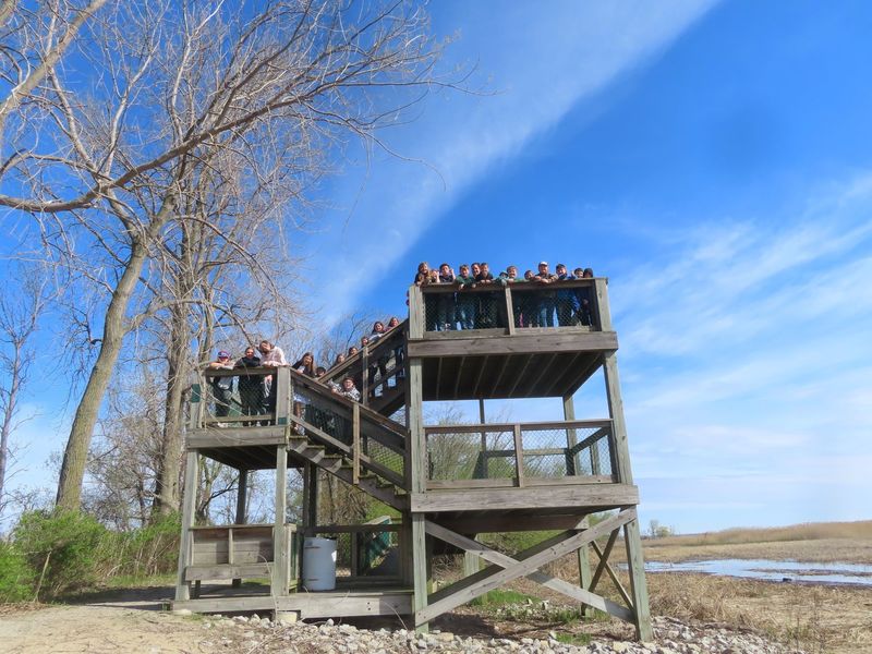 Students on the lookout tower near the Saginaw Bay