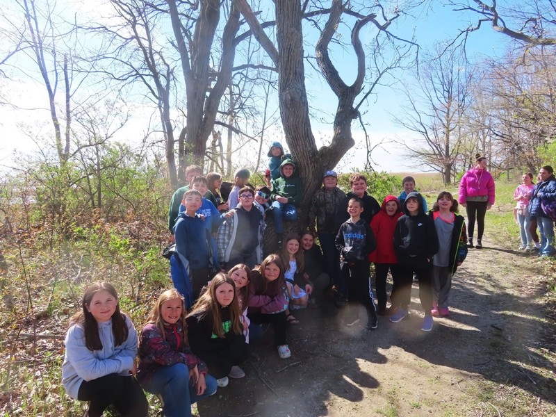 Students stand in front of a tree