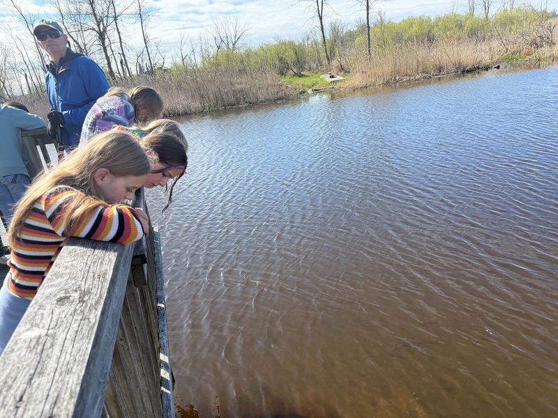 Students look over a rail into the water