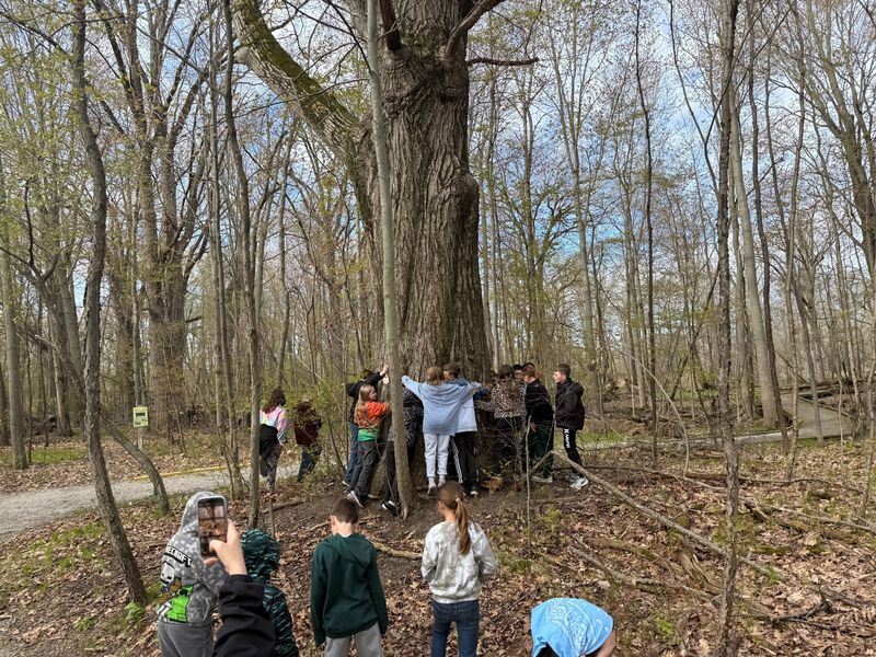 Students wrap their arms around a tree