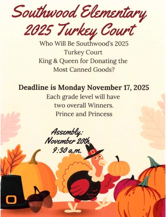 Turkey Court flyer