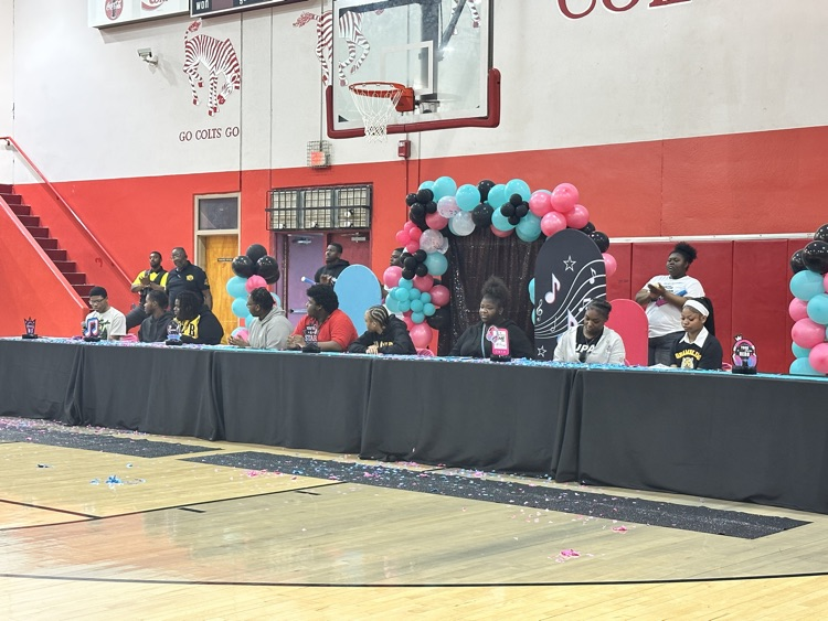 senior walk day