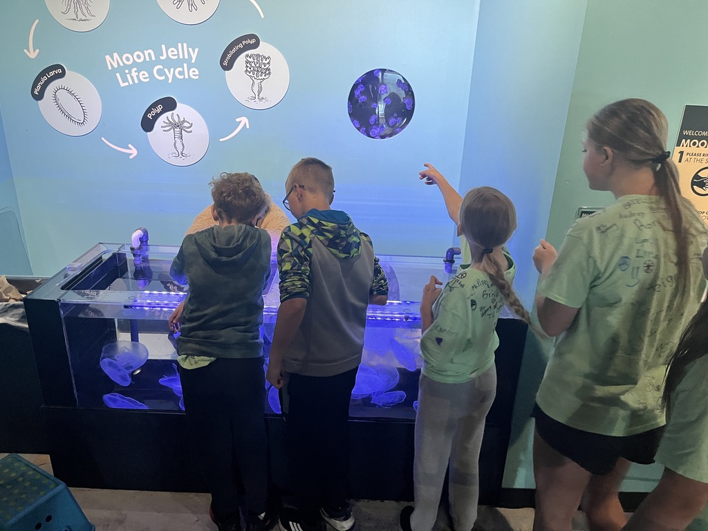 Pine City 5th Graders visit the Duluth Aquarium