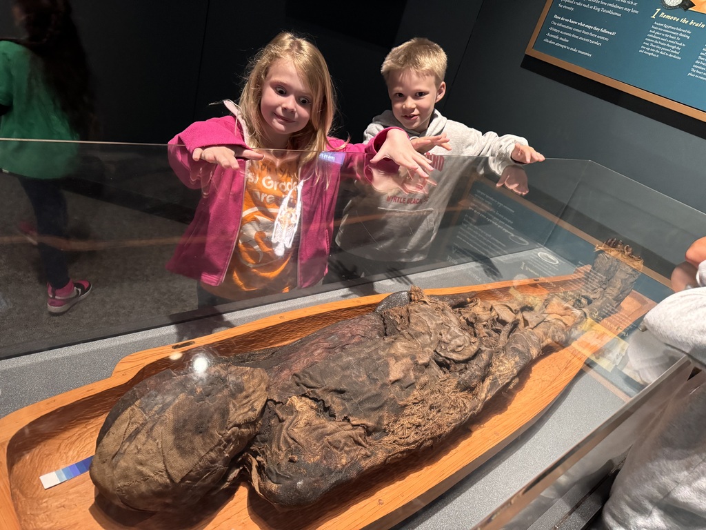 Pine City 1st Graders explore the Science Museum exhibits 