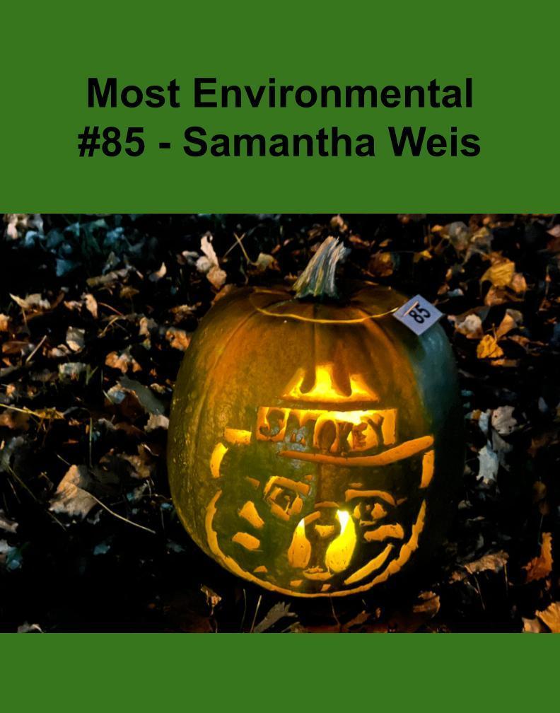 most enviromental