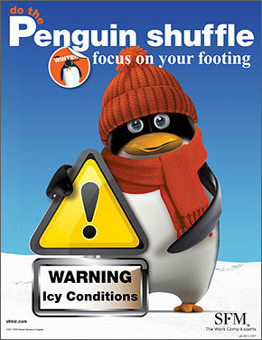 picture of a penguin 