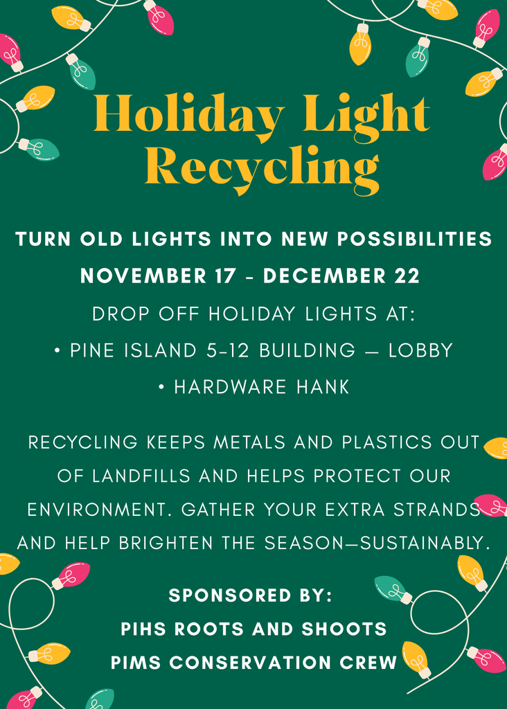 Holiday Light Recycling