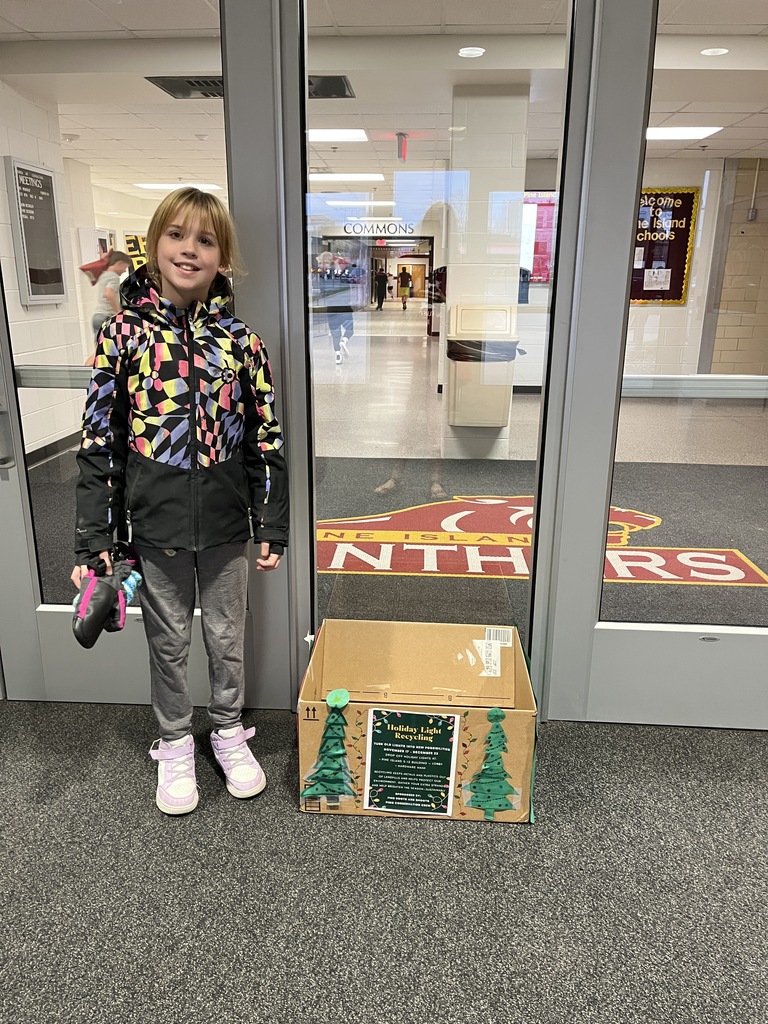 Holiday Light Recycling