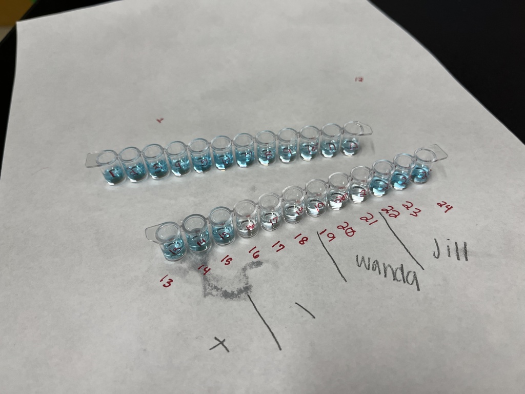 Medical Intervention Classwork