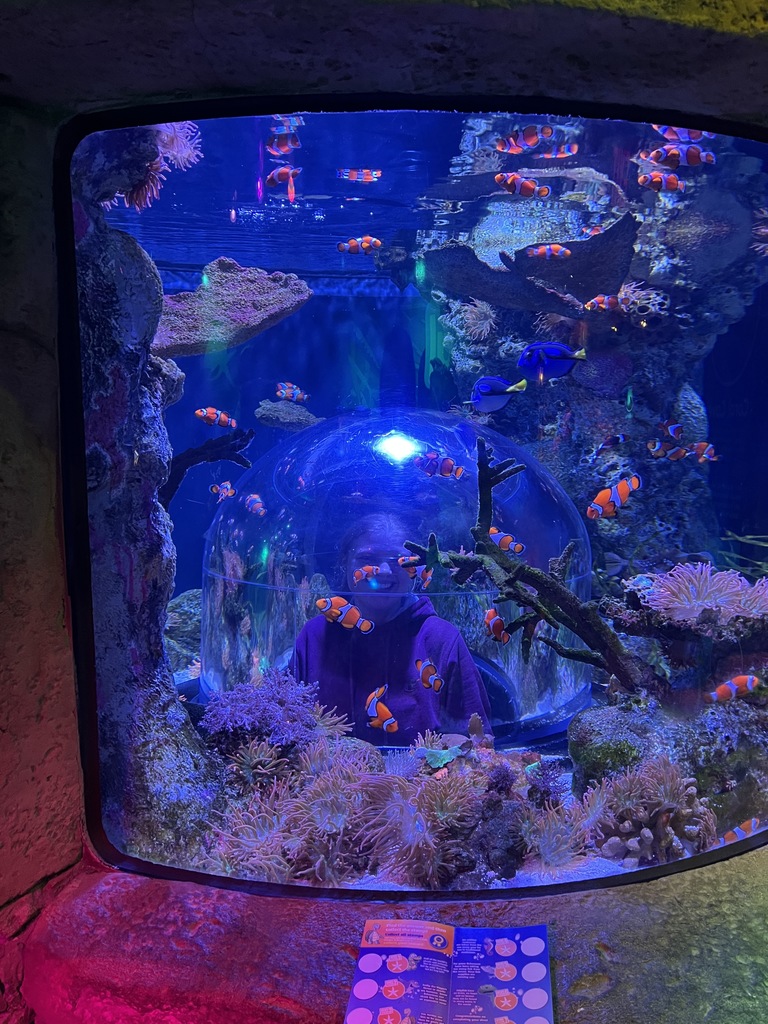 Roots and Shoots Field Trip