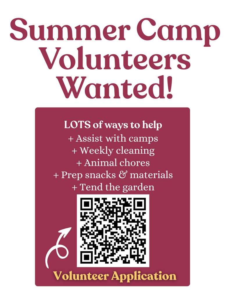 summer camp code