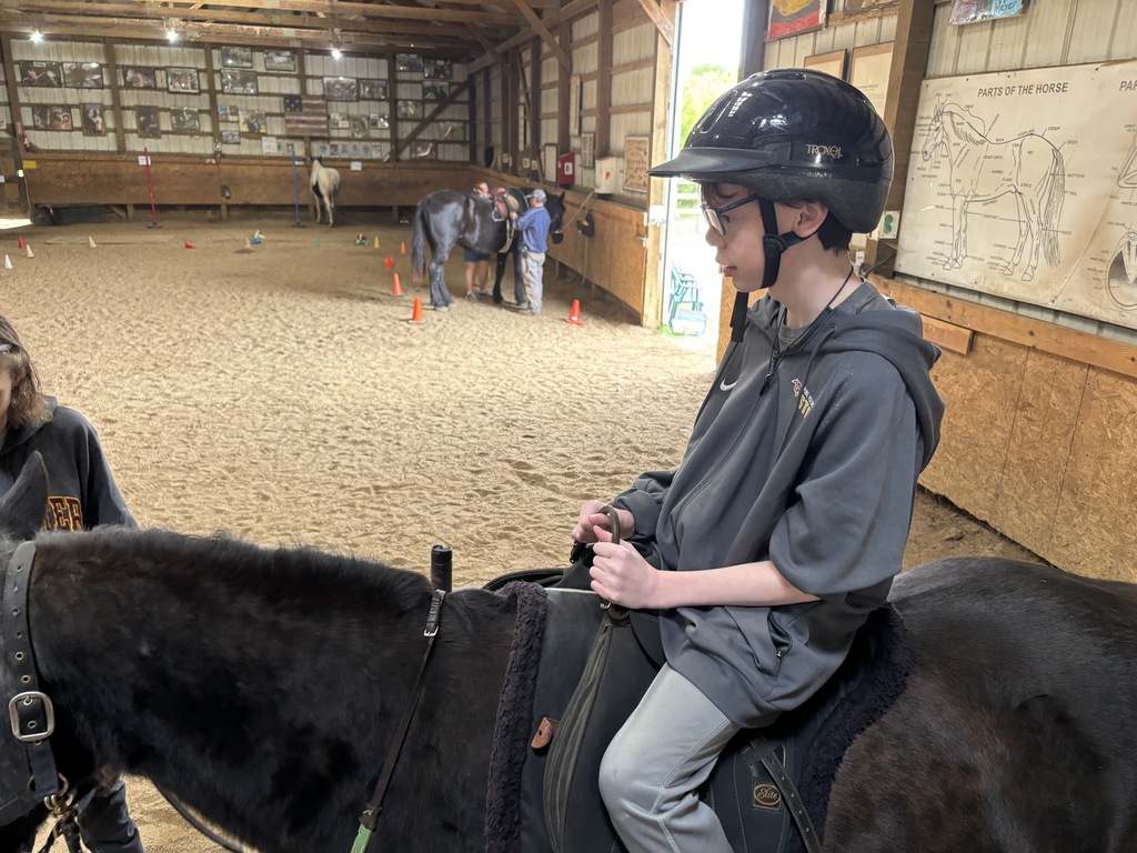 Rideability