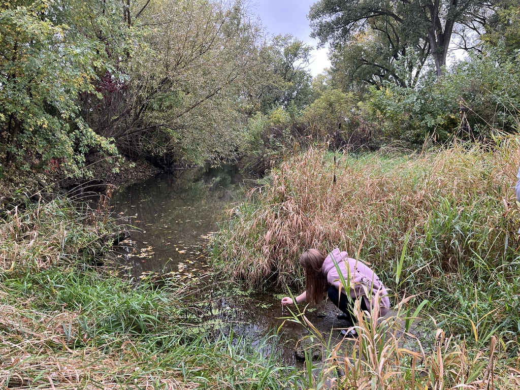 Biology at the river