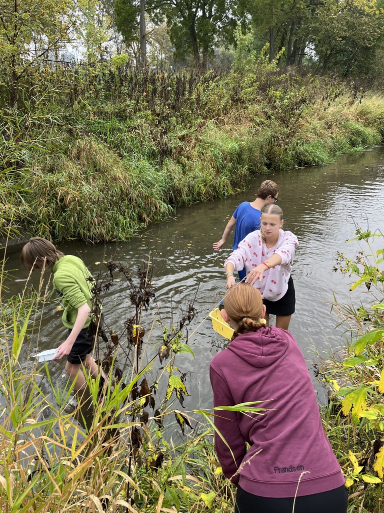 Biology at the river