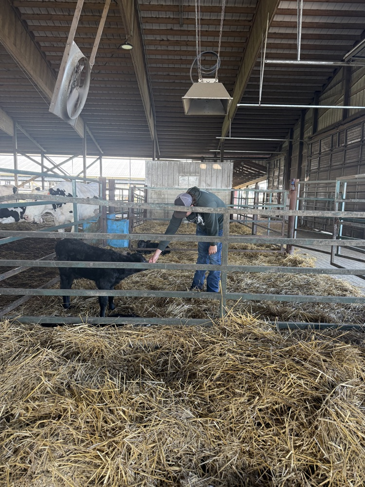 Ag Day